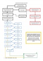 Training Flow Chart-page-001.jpg
